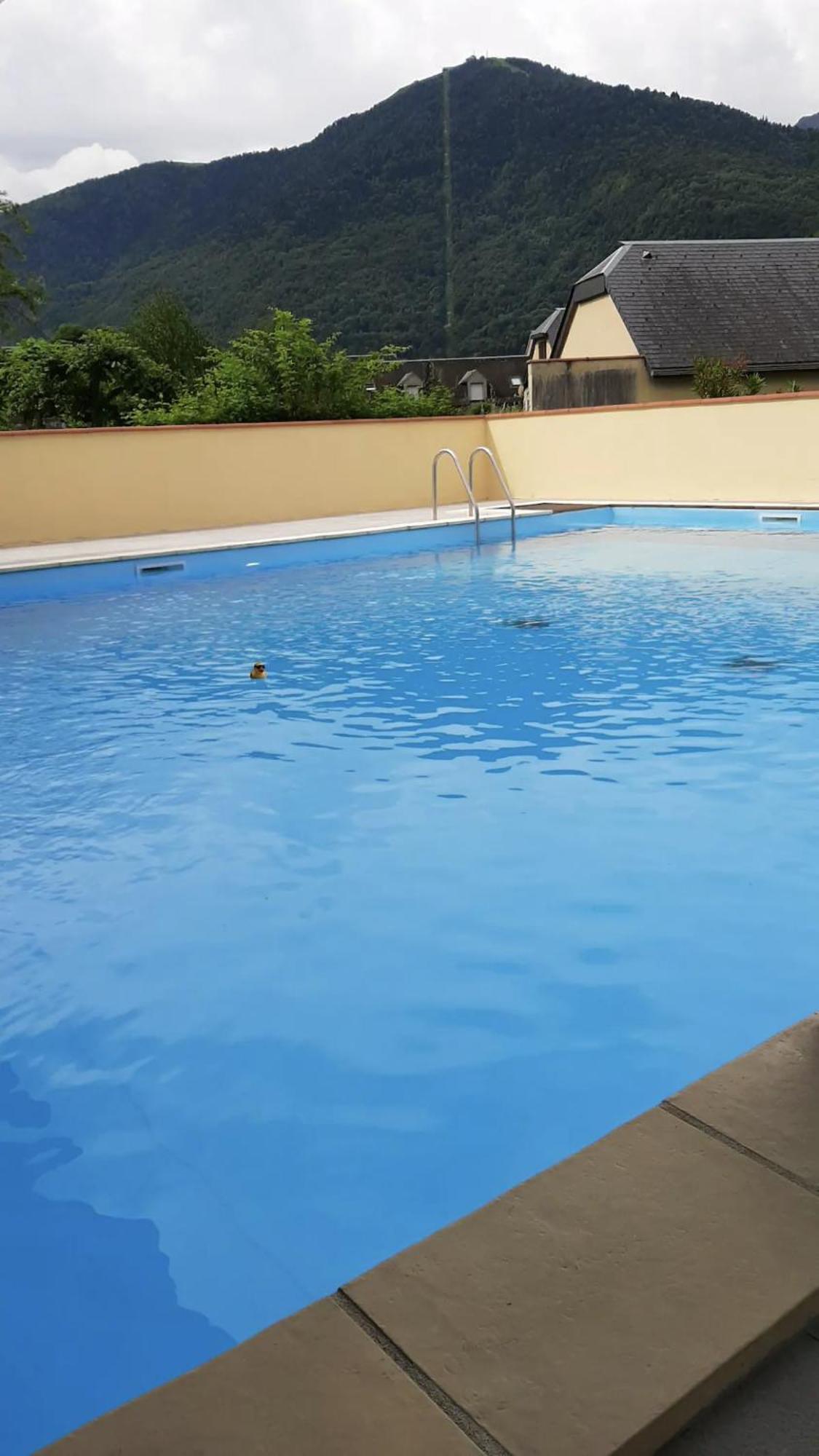 Appart T 3 Bagneres-De-Luchon Vue Montagne - Piscine Mi Juin 외부 사진